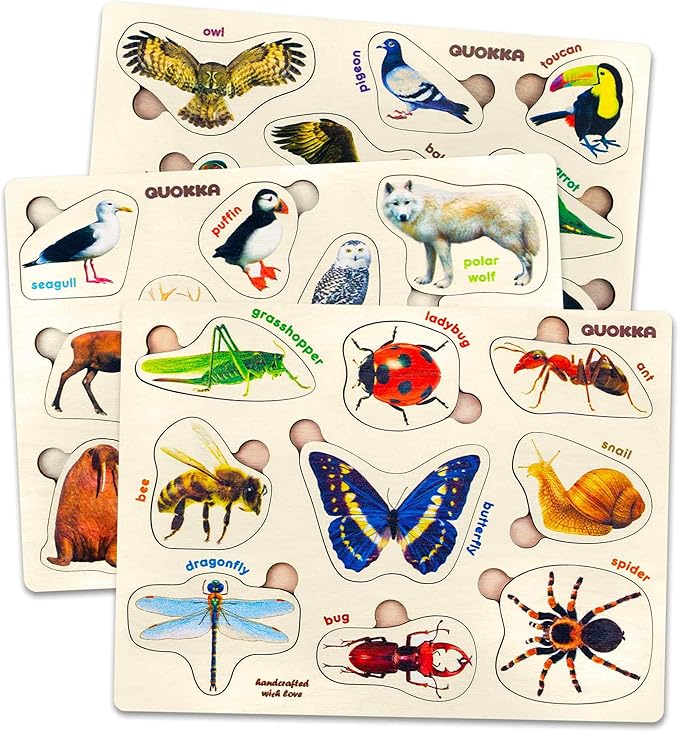 Pegged Educational Puzzles