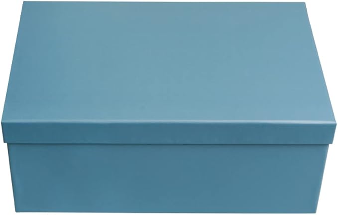 novelinks Photo Case 4" x 6" Photo Storage Box - 10 Inner Picture Storage Container (Sky Blue, 2 Pack)