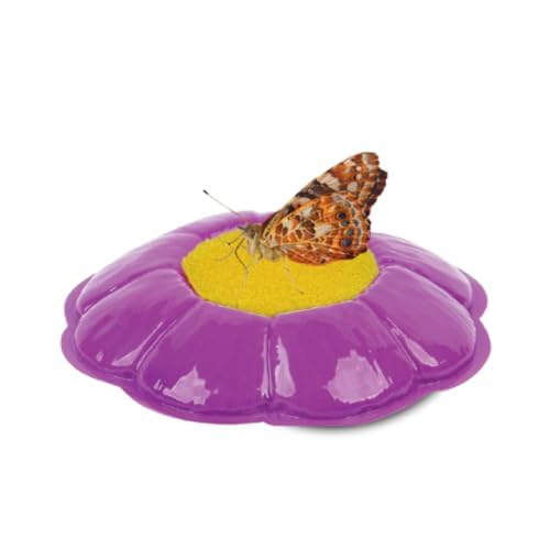 Insect Lore Live Butterfly Garden Life Cycle Observation Kit with 10 Live Baby Painted Lady Caterpillars - Habitat and Supplies Included
