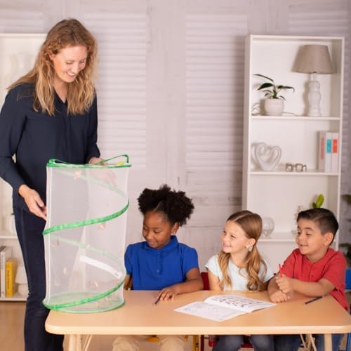 Insect Lore School Kit Refill with 33 Live Caterpillars - STEM Activity Journal & 33 Live Baby Painted Lady Butterfly Caterpillars - Cups & Tools Included