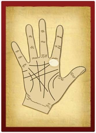 Palmistry Learning Cards - Living Magick Learning Card Series - Self Study Flash Cards