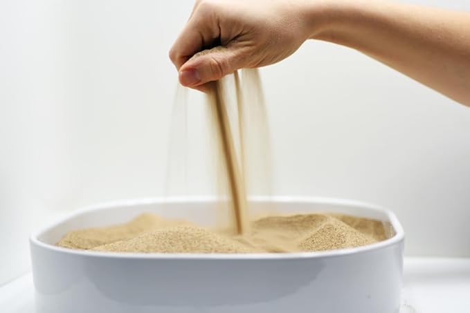 Sandtastik Beach Therapy Sand, 10 lb | Premium Safe & Non-Toxic for Sandboxes Sand Trays Sensory Tables, No Dust, No Free Silica