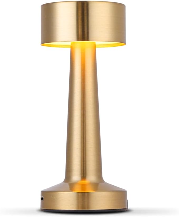 Portable LED Table Lamp, 3-Levels Brightness Metal Desk Lamp,3 Color Touch Control Rechargeable Lamp, Night Light,USB Outlet Extender Lamp,USB Ports Bedside Lamp