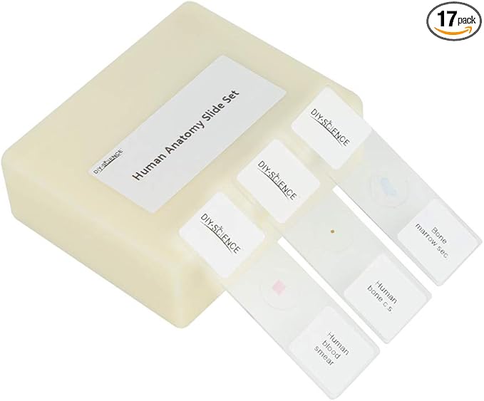 Prepared Human Tissue Anatomy Microscope Slides Set, 17pcs Hand-Prepared Slides Survey The Major Tissues and Organs of Human Body Dedicated to Human Physiology (Human Anatomy)