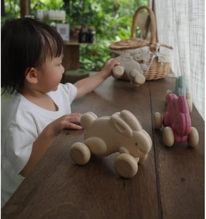 PlanToys Push Along Bunny - Brown