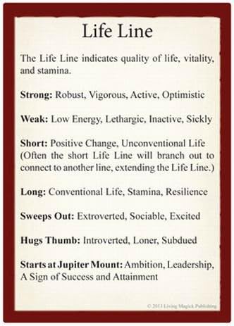 Palmistry Learning Cards - Living Magick Learning Card Series - Self Study Flash Cards