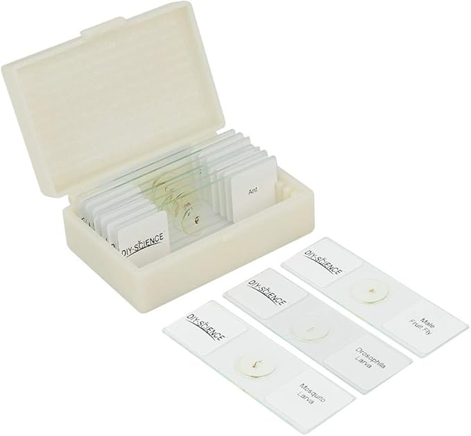 Prepared Whole Insects Microscope Slides Set, 10pcs Specimens for Kids Students Biology Class, Educational Gift (Whole Insects)
