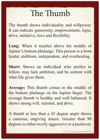 Palmistry Learning Cards - Living Magick Learning Card Series - Self Study Flash Cards