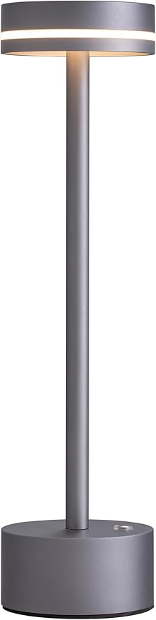 PUSU Portable Table Lamp Battery Powered LED Lamp Cordless Table Lights 3-Level Brightness Touch Control, for Home Office Bedroom Hotel Room Restaurant Outdoor(Gray)