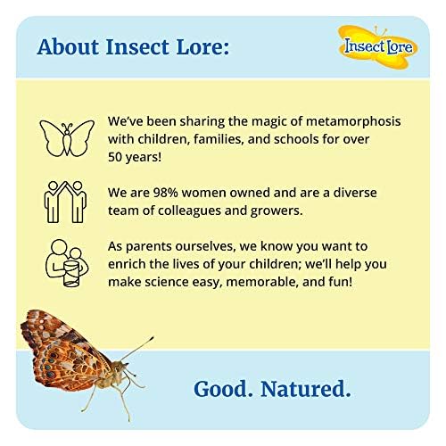 Insect Lore Budding Entomologist Activity Journals | 12 Journal Classpack | Ages 3-8 | Class Set of STEM Learning Booklets