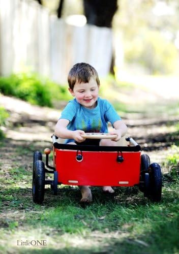 Wishbone Wagon 3in1, My First Wagon in Classic Red for Outdoors, Soap Box Racer and Foot to Floor Car, Push and Pull, Ages 12 months to 10 years