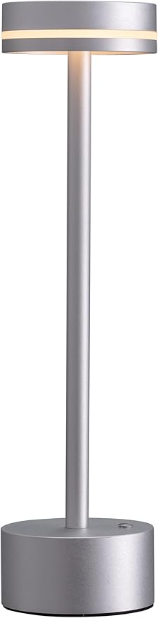 PUSU Portable Table Lamp Battery Powered LED Lamp Cordless Table Lights 3-Level Brightness Touch Control, for Home Office Bedroom Hotel Room Restaurant Outdoor(Silver)