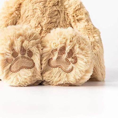 Slumberkins 14" Honey Bear Kin & 2 Board Books Complete Set Bundle | Promotes Gratitude, Respect & Sharing | Social Emotional Tools for Ages 0+ (Honey Bear Kin Plush + 2 Board Books)