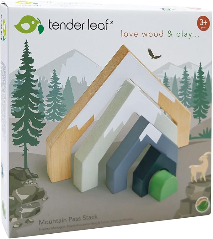 Tender Leaf Toys - Mountain Pass Stack - Stacking Train Tunnel Toy Set for Children - Develop Fine Motor Skills and Creativity for Age 3+