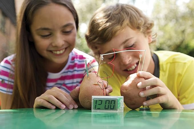 4M Potato Clock DIY Green Science Chemistry Engineering Lab - STEM Toys Educational Gift for Kids & Teens, Girls & Boys, Brown