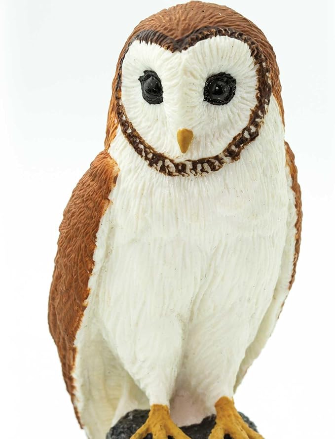 Safari Ltd. Barn Owl Figurine - Detailed 2.75" Plastic Model Figure - Fun Educational Play Toy for Boys, Girls & Kids Ages 3+