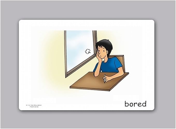 Feelings and Emotion Flash Cards - English Vocabulary Picture Cards for Toddlers, Kids, Children and Adults