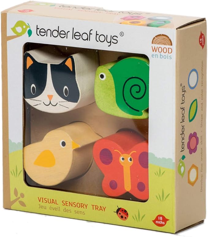 Tender Leaf Toys - Sensory Trays - Baby Blocks, Shape Sorter, STEM Learning Shape Identification Sorting Game Toy for Kids 18 Month + (Touch Sensory Trays)