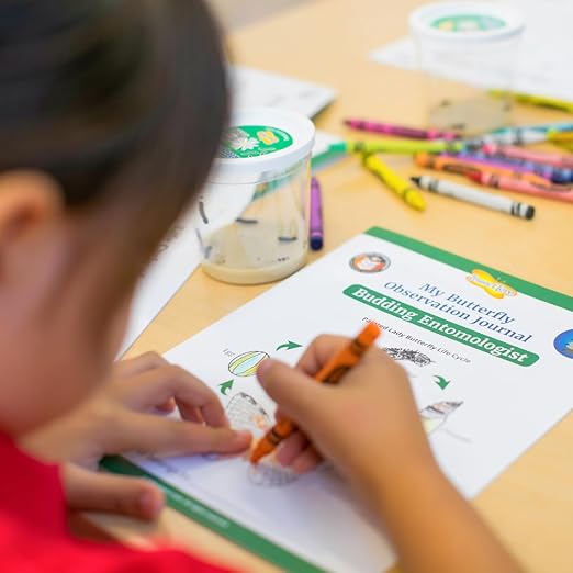 Insect Lore Budding Entomologist Activity Journals | 12 Journal Classpack | Ages 3-8 | Class Set of STEM Learning Booklets