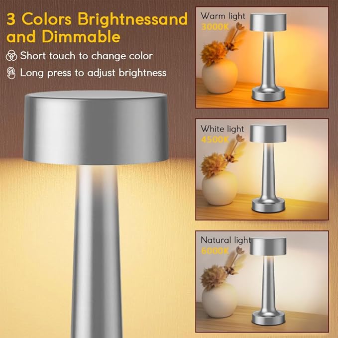 Portable LED Table Lamp, 3-Levels Brightness Metal Desk Lamp,3 Color Touch Control Rechargeable lamp, Ideal Bedside Lamp for Nightstand,Bedroom, Living Room (Silver)