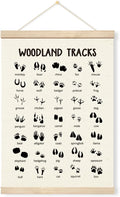 Geondos Woodland Tracks Wall Poster, Canvas Hanging Banner, Animal Tracks Field Guide Sign, Forest Nursery Decor, Wall Door Decoration for Kids Room,Classroom, Playroom Cabin