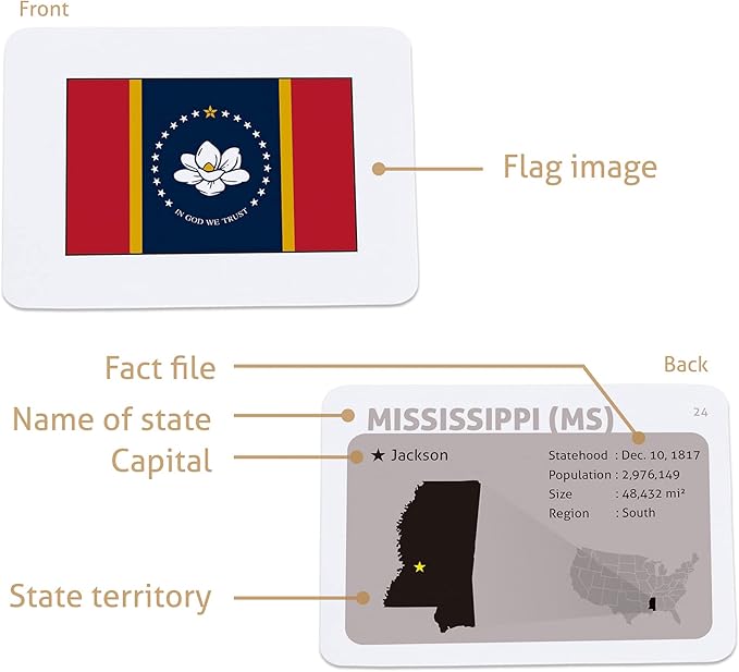 CARDDIA | U.S. State Flags Flashcards | 50 States with Names, Abbreviations, Capitals & Facts | Educational & Durable | Geography Learning Gift for Kids & Adults