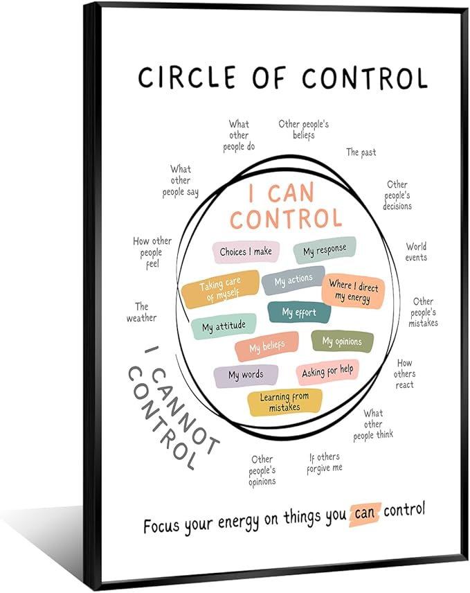 Circle Of Control Poster What I Can And Cannot Control Therapy Office Wall Art Kids Mental Health Poster Calm Down Corner School Decor 16x24in BlackFramed