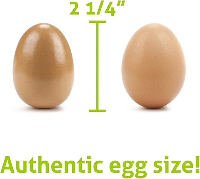 Imagination Generation Wood Eats! Eggcellent Eggs with Real Carton