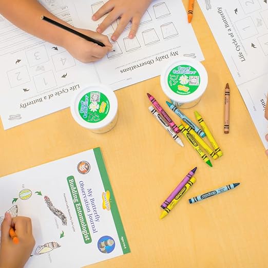 Insect Lore Budding Entomologist Activity Journals | 12 Journal Classpack | Ages 3-8 | Class Set of STEM Learning Booklets