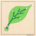 MONTESSORI OUTLET Nature Materials Leaf Puzzle Early Preschool Learning Toys for 3-12 Year Old Kids and Toddler