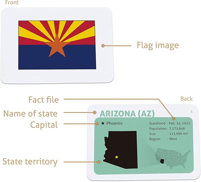 CARDDIA | U.S. State Flags Flashcards | 50 States with Names, Abbreviations, Capitals & Facts | Educational & Durable | Geography Learning Gift for Kids & Adults