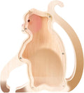 Wooden Monkey Piggy Banks for Kids, Adorable Monkey Piggy Bank with Acrylic Panels, Unbreakable Toddler Money Box for Girls Adults Boys, Cute Saving Coin Jar for Birthday Décor