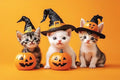 Kittens and Pumpkins - Adult Wizard Hat Halloween 300 Pieces Adult Puzzle - Challenging Family Activities