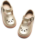 Felix & Flora Toddler Little Girl Mary Jane Dress Shoes - Ballet Flats for Girl Party School Shoes