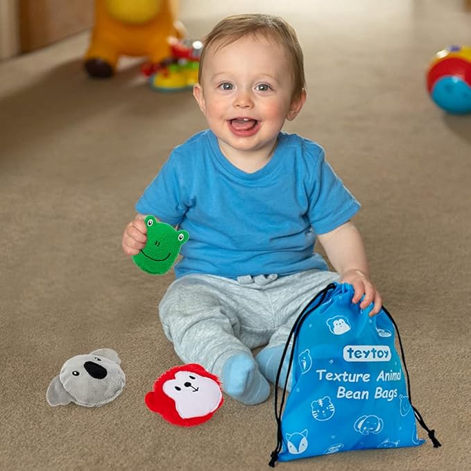 teytoy Sensory Bean Bag for Kids 10 Pack,Texture Sensory Beanbags,Sensory Toys for Autism,Animal Sensory Fine Motor Toys with Storage Bag for Boys and Girls