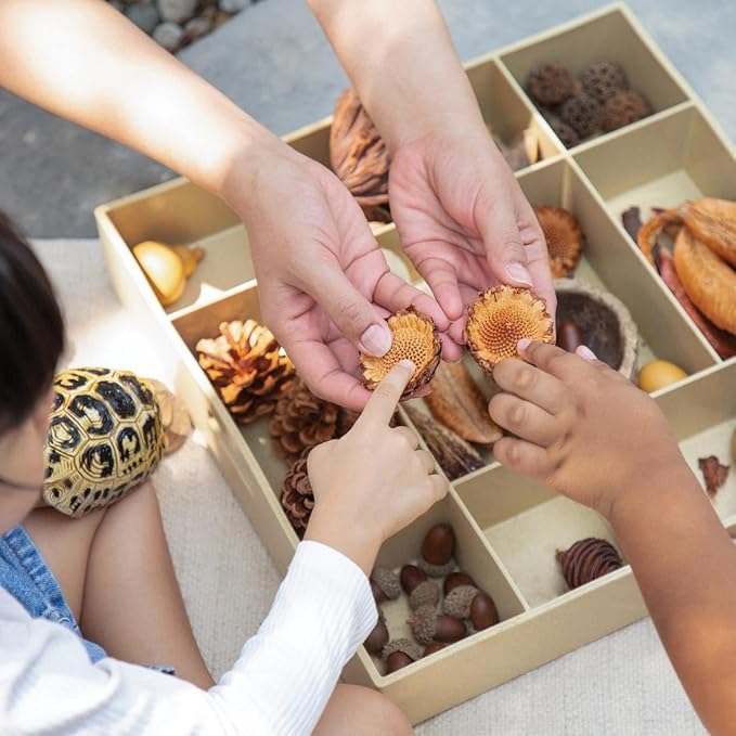 Kaplan Early Learning Nature's Geometry Loose Parts STEM Kit