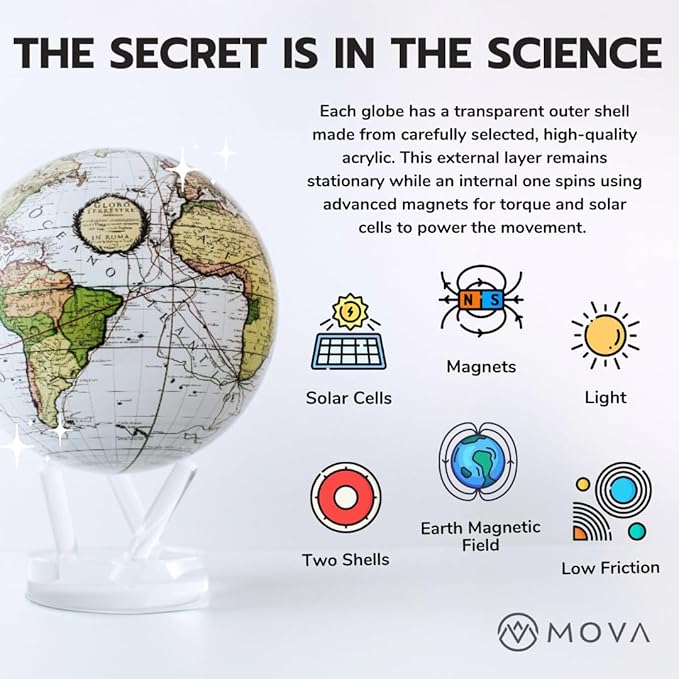 MOVA Metallic Black and Gold Globe 6"