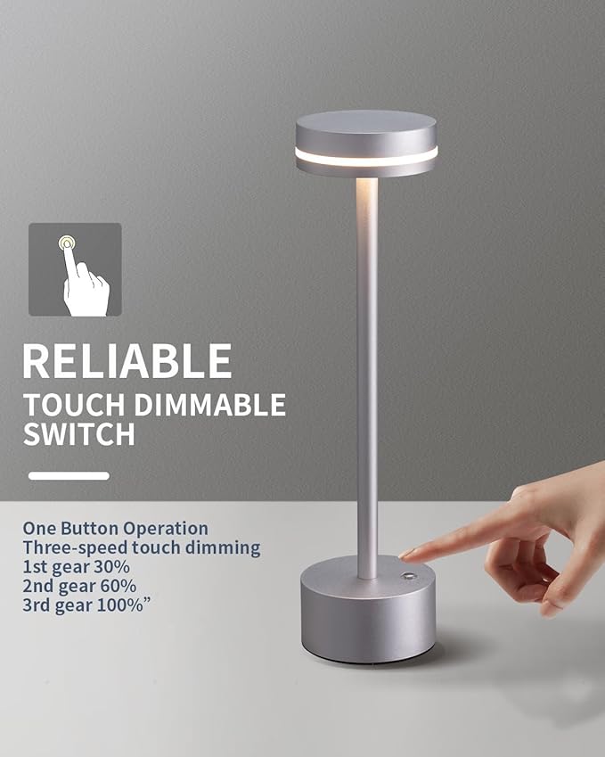 PUSU Portable Table Lamp Battery Powered LED Lamp Cordless Table Lights 3-Level Brightness Touch Control, for Home Office Bedroom Hotel Room Restaurant Outdoor(Silver)