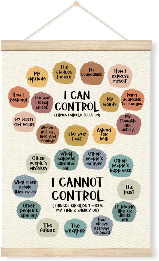 Emotional Wall Art, Positive Poster Print Framed, Therapy Office Decor, Things I Can Control Framed Canvas Print, Canvas Painting Artwork For Home School Counseling Treatment Office