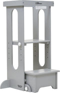 Little Partners Foldable Toddler Tower, Learning Tower Explore 'N Store Montessori Standing Kitchen Tower with Folding Step Stool Platform for Cooking and Learning, Ages 2+ (Silver Drop)