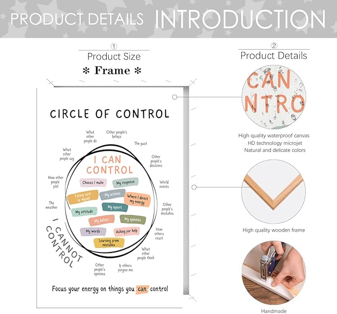 Circle Of Control Poster What I Can And Cannot Control Therapy Office Wall Art Kids Mental Health Poster Calm Down Corner School Decor 16x24in Framed