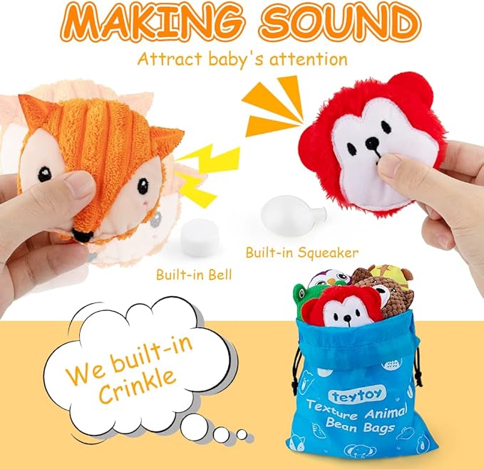 teytoy Sensory Bean Bag for Kids 10 Pack,Texture Sensory Beanbags,Sensory Toys for Autism,Animal Sensory Fine Motor Toys with Storage Bag for Boys and Girls