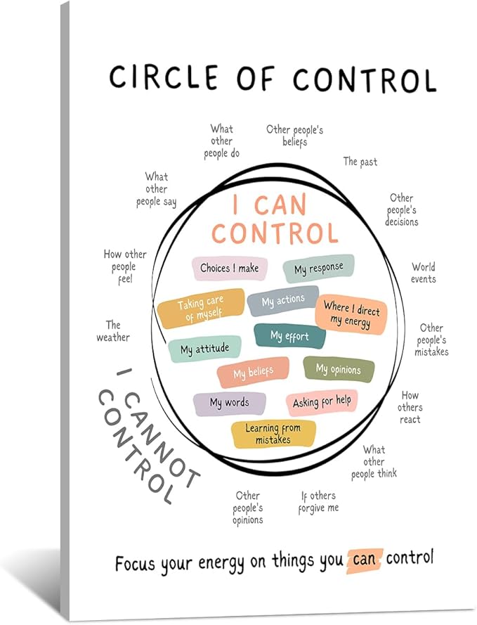 Circle Of Control Poster What I Can And Cannot Control Therapy Office Wall Art Kids Mental Health Poster Calm Down Corner School Decor 16x24in Framed