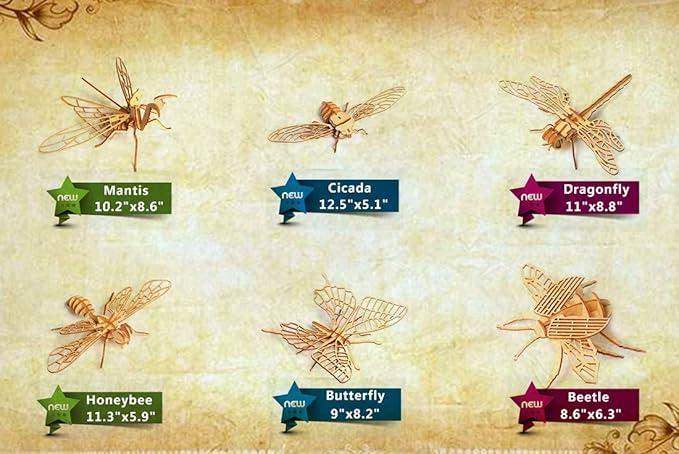 3D Wooden Insect Puzzle - 6 Piece Set Insect Animal Skeleton Assembly Model Puzzle - DIY Wooden Crafts 3D Puzzle - STEM Toys Gifts for Adults & Teens Birthday Gifts Christmas