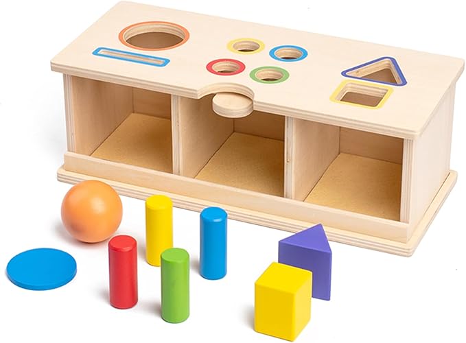 Montessori Toys Wooden Color & Shape Sorter Toys for Toddlers 1-3, Matching Box Sorting Blocks Manipulatives Preschool Learning Educational Toy for 1 2 3 4 Year Old Boy Girl Kid Gifts