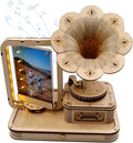 CUBERIE 3D Puzzles for Adults, Gramophone Wooden Model kit Music Box Gifts for Woman Man, Assembly Three-D Wood Puzzle Decor with Acrylic Picture Frame, Toys for Ages 14 and up