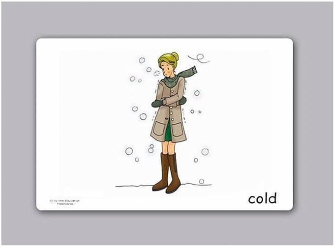 Feelings and Emotion Flash Cards - English Vocabulary Picture Cards for Toddlers, Kids, Children and Adults