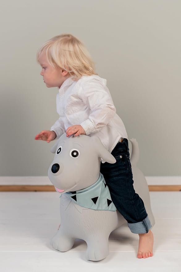 Kindsgut Bouncy Animal Hopper Dog for Children, Designed in Germany, Playful and Modern Colors, air Pump Included, Indoors and Outdoors