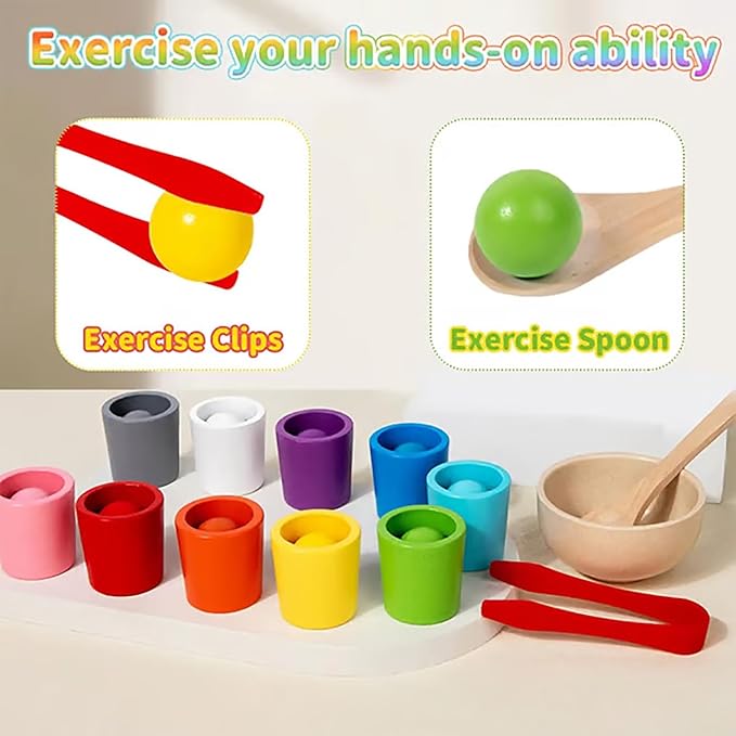 Rainbow Balls in Cups Toddler Toys, Montessori Wooden Color Sorting Toys for Toddlers 1-3, Educational Preschool Learning Game, Fine Motor Skills Montessori Matching Toy for Kids(2pcs)