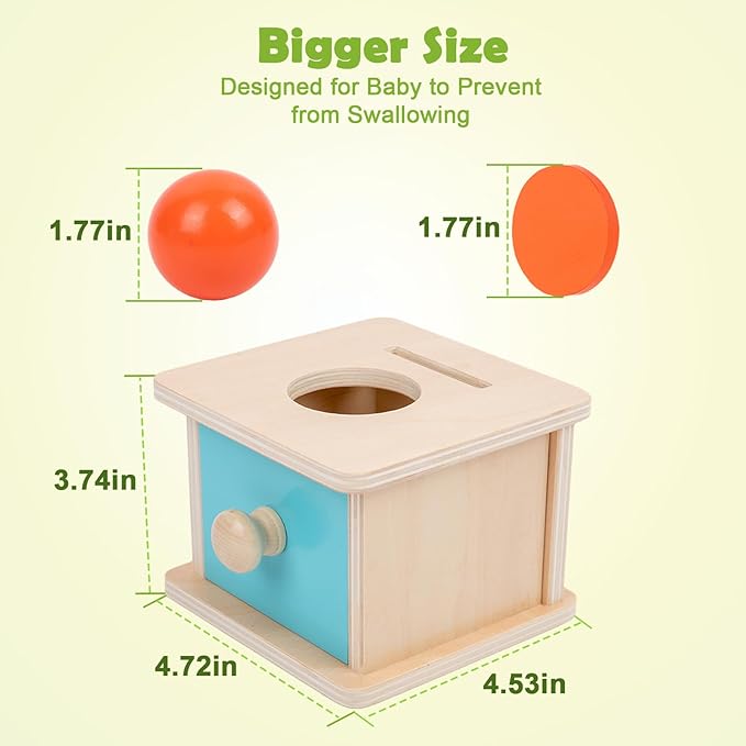 Adena Montessori Infant Toddlers Coin Box Montessori Toys for 6-12 Months Babies 1 Year 2 Year Old (2 in 1,Coin&Ball, Blue Door)